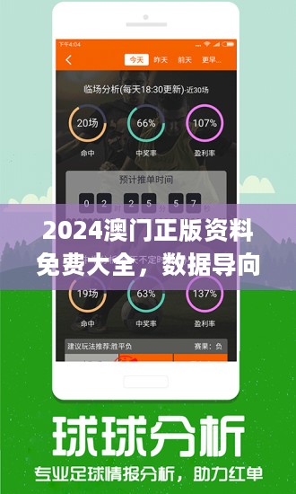 2024新澳门正版免费大全-专业分析解释落实