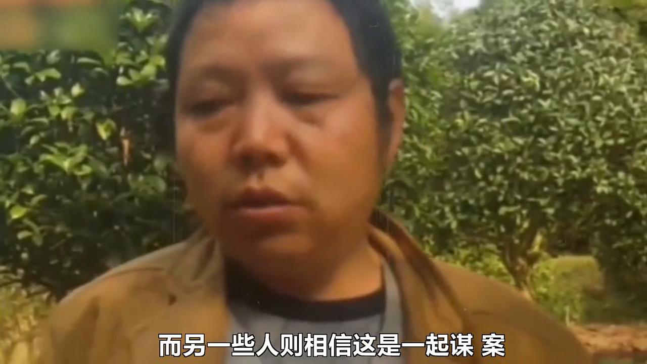 江苏磁悬浮科技的崛起与创新之路