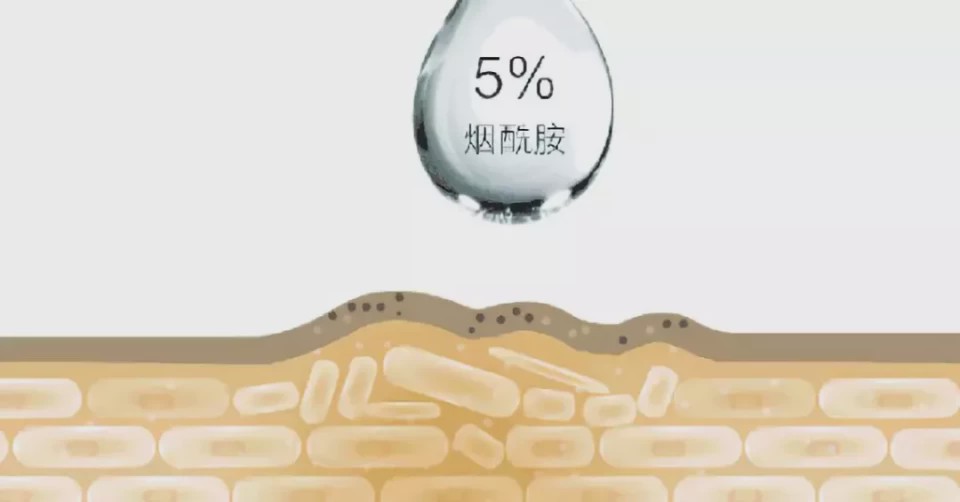 广东省皮烟酰胺乳膏，护肤新选择