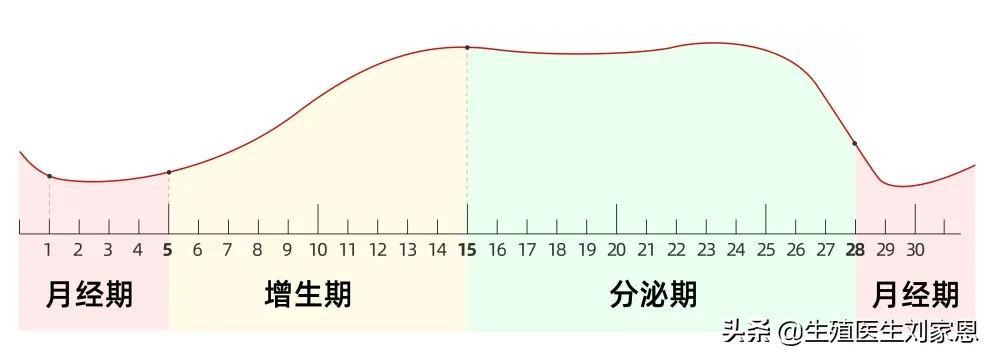 两个月来月经，生理周期的变化与关注