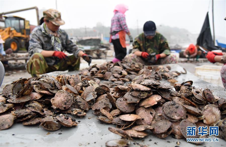 广东省海岛视频，探索美丽的海洋之心